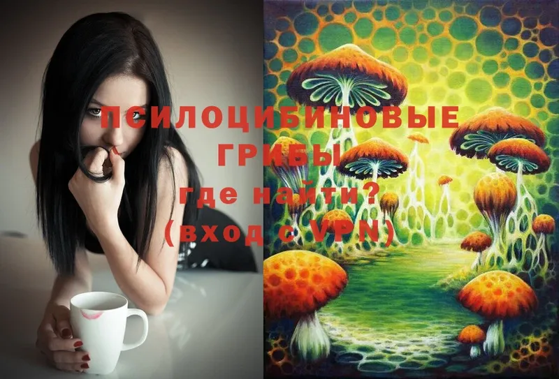 Галлюциногенные грибы Psilocybe  Нерехта 