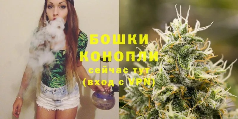 Шишки марихуана OG Kush  Нерехта 